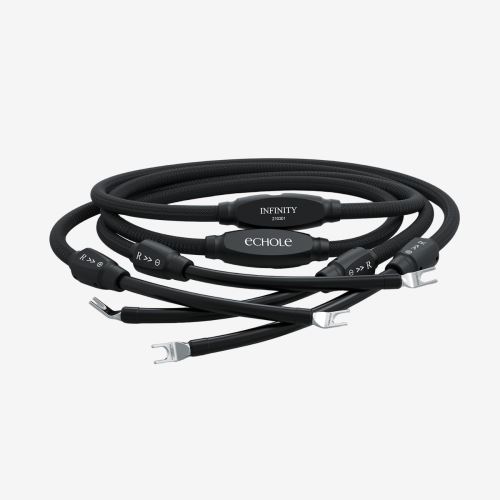 Infinity Speaker Cable